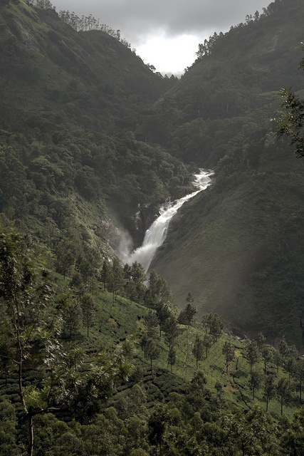 Attukad Waterfalls